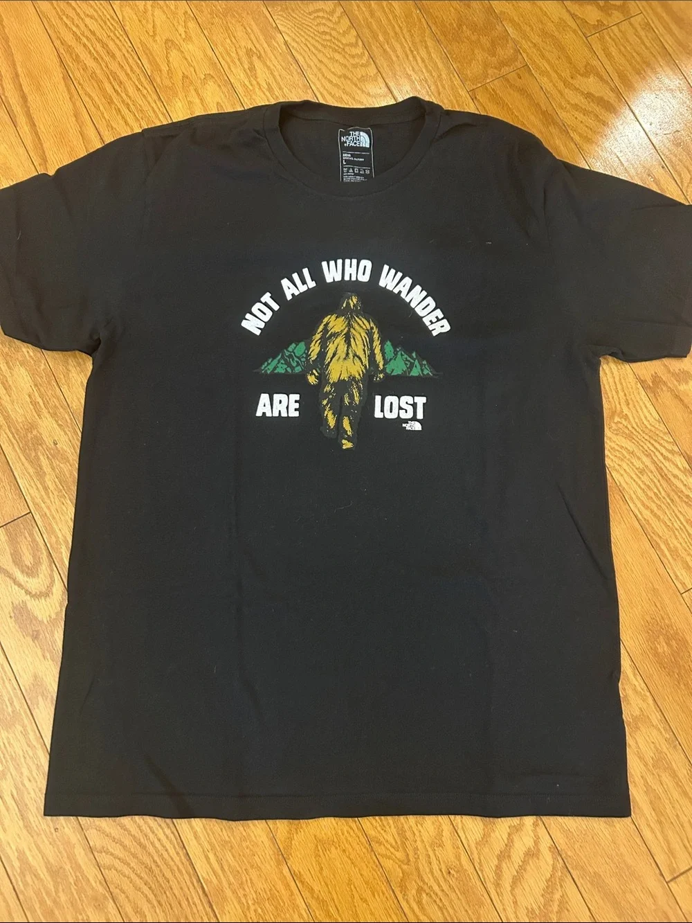 The North Face Black Short-Sleeve Tee with Graphic